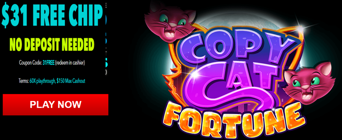 SlotOCash - Copy Cat Fortune Slot Game: Unleash Your Inner Feline with a $31 No Deposit Bonus! 